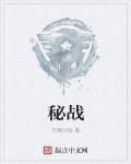 秘战