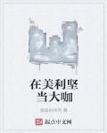 在美利坚当大咖