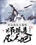 不会真有人觉得师尊是凡人吧